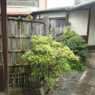 #エクステリア#群馬県#伊勢崎#高崎#前橋#玉村#コンクリート#擁壁#土留#ブロック#フェンス#駐車場土間#倉庫#何でも屋#縁#庭#造園#植栽#リフォーム#壁#屋根#修理#修繕#ヤス#図南フットサルクラブ高崎#玉庭#ハウスRIKI＃インターロッキング#アプローチ#外構#外構リフォーム